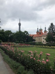 Фото з туру Празькі дні… кришталеві  Дрезден, Краків, 21 червня 2019 від туриста a_alya