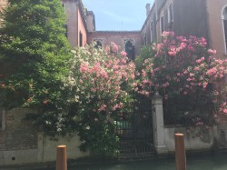 Фото з туру Прекрасна венеціанка! Відень, Верона і Будапешт!, 29 червня 2019 від туриста Khrystyna Tymchuk