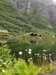 Фото з туру Cкандинавські фіорди   3 фіорда, 3 замка, 4 столиці Льодовик Нігардсбрін, Язик Троля і Берген, 18 червня 2019 від туриста Марина