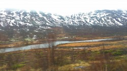 Фото из тура Сердце Севера - фьорды 3 фьорда, 3 столицы, Ледник Нигардсбрин, Язык Тролля и Берген , 19 мая 2019 от туриста marmy4a