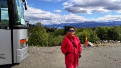 Фото з туру Серце Півночі - фіорди 3 фіорди, 3 столиці  Льодовик Нігардсбрін, Язик Троля і Берген , 19 травня 2019 від туриста marmy4a
