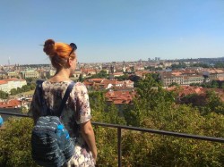 Фото из тура Три счастливых дня Краков, Прага + Дрезден, 03 июля 2019 от туриста Helga Khom