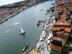 Фото з туру Полуниця з Портвейном... Португалія, 16 червня 2019 від туриста lilika
