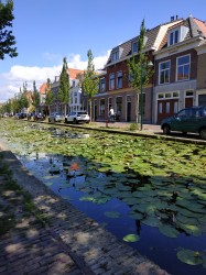 Фото из тура Пикничок в Амстердаме , 01 июля 2019 от туриста galyash