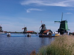 Фото из тура Пикничок в Амстердаме , 01 июля 2019 от туриста DoBrIk