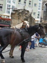 Фото з туру Три щасливі дні Краків, Прага + Дрезден, 03 липня 2019 від туриста Irine