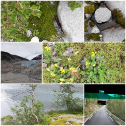 Фото из тура Твоя Скандинавия: 3 Фьорда + 3 Столицы!+ Ледник Нигардсбрин и Язык Тролля!!!, 22 июня 2019 от туриста Larisa