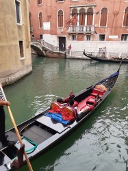 Фото из тура Знакомство с Казанова! Вена+Верона+Венеция, 13 июля 2019 от туриста Olgash