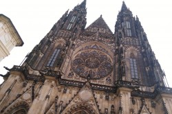 Фото из тура Пражское дежавю  Прага и Вена, 14 июля 2019 от туриста Crystal