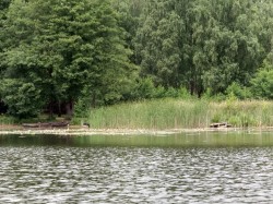 Фото з туру Оповіді Волині …з відпочинком на Шацьких озерах!!!, 13 липня 2019 від туриста Наталя