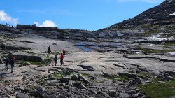 Фото из тура Твоя Скандинавия: 3 Фьорда + 3 Столицы!+ Ледник Нигардсбрин и Язык Тролля!!!, 05 июля 2019 от туриста gala