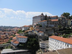 Фото з туру Полуниця з Портвейном... Португалія, 23 червня 2019 від туриста nataly