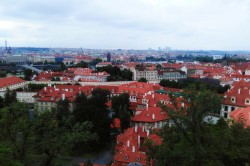 Фото з туру Празьке дежавю  Прага та Відень, 14 липня 2019 від туриста Crystal