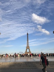 Фото из тура Французский для начинающих Париж + Диснейленд, 17 июля 2019 от туриста Anna_Ryzha