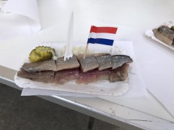 Фото из тура Пикничок в Амстердаме , 20 июля 2019 от туриста Алексей 