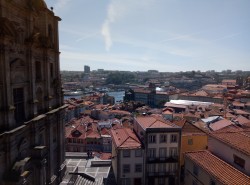 Фото из тура Клубника с Портвейном... Португалия, 21 апреля 2019 от туриста Gala