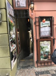 Фото из тура Маленькое французское путешествие Париж, Диснейленд+ Нюрнберг, 03 июля 2019 от туриста Hey Hanna