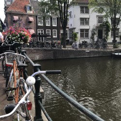 Фото з туру Яскравий Бенілюкс: Нідерланди, Бельгія та Люксембург!, 20 липня 2019 від туриста Саша
