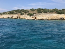 Фото из тура Хорватия... А море близко!, 24 июля 2019 от туриста Odarka