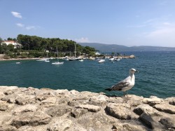 Фото з туру Хорватія... А море близько!, 24 липня 2019 від туриста Odarka