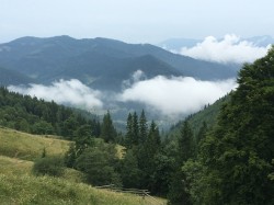 Фото из тура А над Говерлой - облака!, 29 июля 2019 от туриста katya