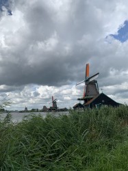 Фото из тура Амстердам… Forever , 11 августа 2019 от туриста Lily.H