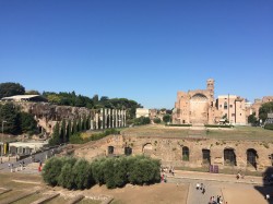 Фото из тура Рим притягивает нас! Вена, Флоренция и Венеция!, 13 августа 2019 от туриста Yulya