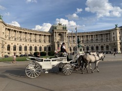 Фото из тура Вена, я уже еду! , 21 июля 2019 от туриста Dolli