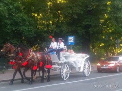 Фото з туру Маленька французька подорож Париж, Діснейленд +Нюрнберг, 18 серпня 2019 від туриста ЗНВ
