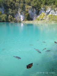 Фото из тура Счастливый уикенд в Хорватии! Ривьера Опатии + Плитвицкие водопады!, 20 августа 2019 от туриста Лорик