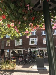 Фото из тура Больше, чем любовь....Отпуск в Амстердаме, 19 августа 2019 от туриста Людмила