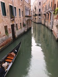 Фото из тура Венеция - город на воде! Вена, Верона и Будапешт..., 28 августа 2019 от туриста Nadia