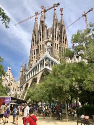 Фото из тура Кастаньеты испанского сердца  3 дня в Барселоне, 22 августа 2019 от туриста LD