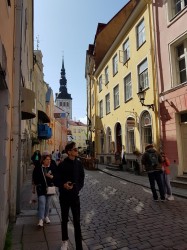 Фото з туру Балтійські береги Вільнюс, Рига, Таллінн + Стокгольм!, 28 липня 2019 від туриста Виталия