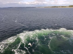 Фото з туру Балтійські береги Вільнюс, Рига, Таллінн + Стокгольм!, 28 липня 2019 від туриста Виталия