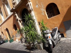 Фото из тура «Релакс» по – итальянски: Амальфитанское побережье + Рим, Флоренция и Венеция!, 25 августа 2019 от туриста Олена