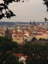 Фото з туру Перше кохання... Прага, 08 вересня 2019 від туриста Lera