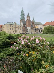 Фото з туру Празьке дежавю  Прага та Відень, 08 жовтня 2019 від туриста Viktorplus