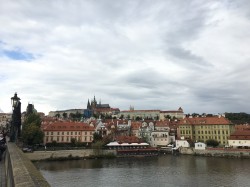 Фото из тура Пражские выходные Прага, Дрезден, Карловы Вары, 09 октября 2019 от туриста Зайчик
