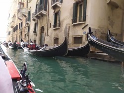 Фото из тура Прекрасная венецианка! Вена, Верона и Будапешт!, 09 октября 2019 от туриста Llennochek