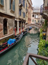Фото из тура Жгучая неделька в Испании  Ллорет де Мар, Ницца + Венеция, 14 сентября 2019 от туриста Тоха666
