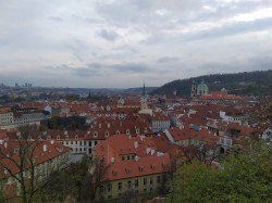 Фото из тура Три счастливых дня Краков, Прага + Дрезден, 07 ноября 2019 от туриста Марина
