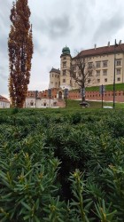 Фото из тура Душевный Уикенд Краков, Прага, Вена, Будапешт + Эгер, 18 ноября 2019 от туриста kasianchik