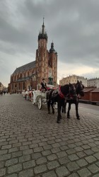 Фото из тура Душевный Уикенд Краков, Прага, Вена, Будапешт + Эгер, 18 ноября 2019 от туриста kasianchik