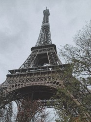 Фото з туру Побачення в Парижі! + Мюнхен!, 21 листопада 2019 від туриста Лера