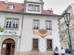 Фото з туру Перше кохання... Прага, 19 травня 2019 від туриста Странник