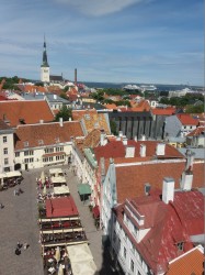 Фото из тура Балтийские берега  Вильнюс, Рига, Таллин + Стокгольм!, 04 июня 2018 от туриста Olya777