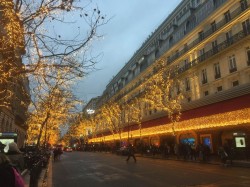 Фото из тура Амурные приключения в Амстердаме и Париже!!!, 08 декабря 2019 от туриста Inna