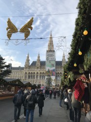 Фото з туру Ідеальне тріо: Чехія, Австрія, Німеччина+ парк розваг Леголенд та Нойшванштайн!, 08 грудня 2019 від туриста Турист