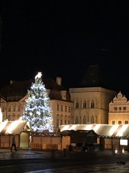 Фото из тура Выходной! I love Еurope Краков, Прага, Вена, 30 декабря 2019 от туриста Яна